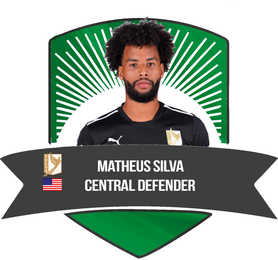 Matheus Martins Silva