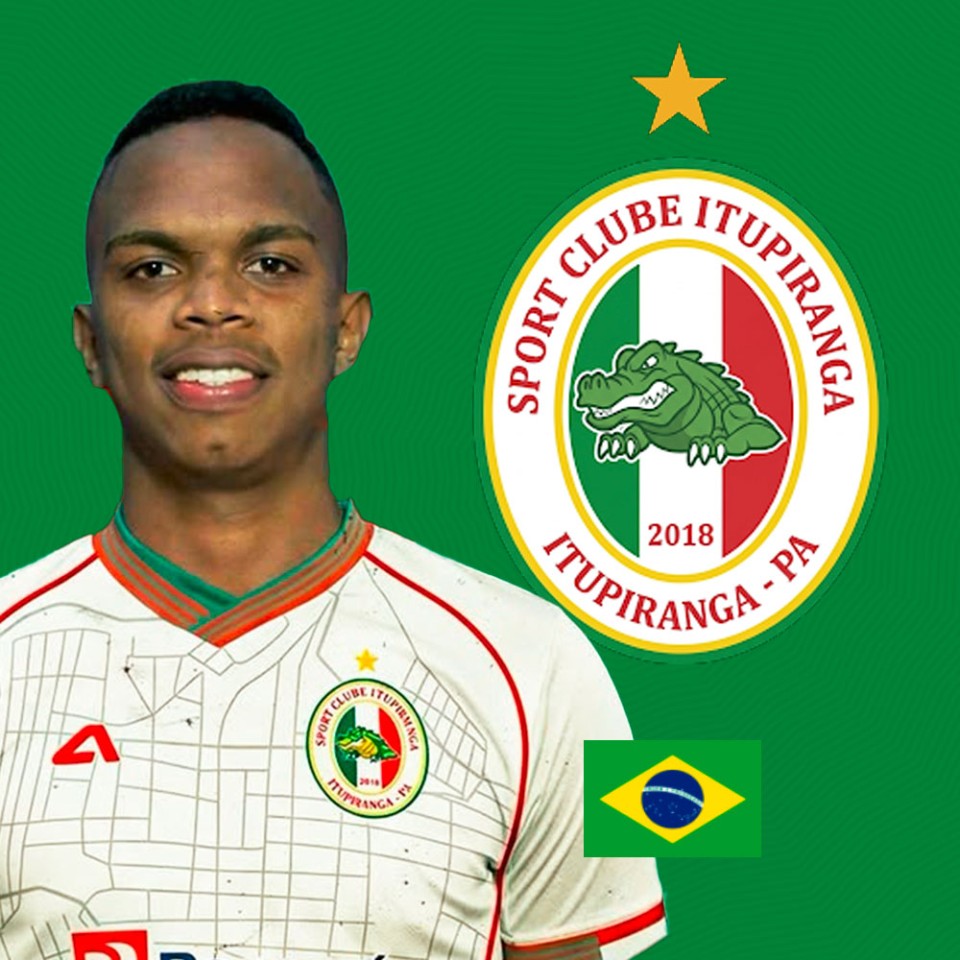 Pedro Henrique Ferreira da Silva 