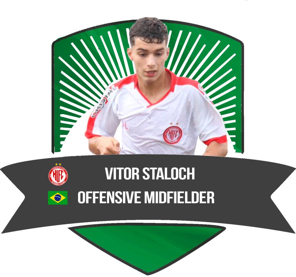 Vitor Staloch Schussler
