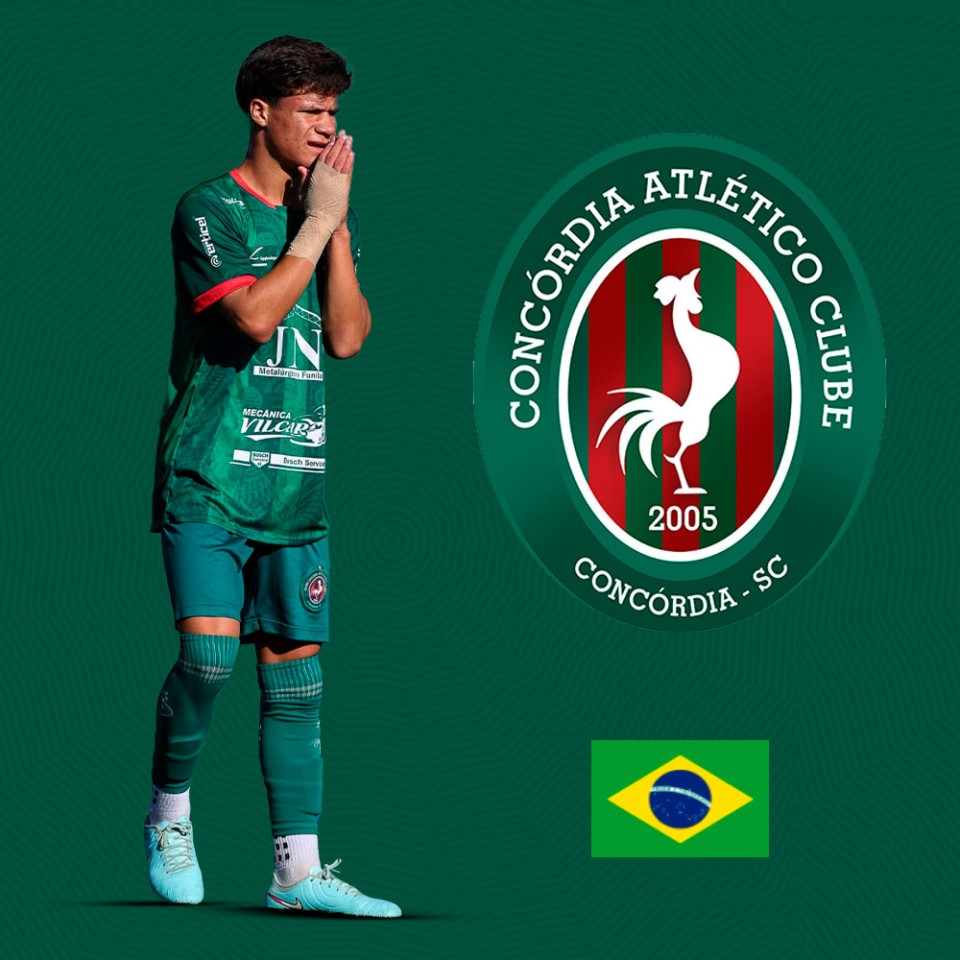 Enzo Rodrigo dos Santos 