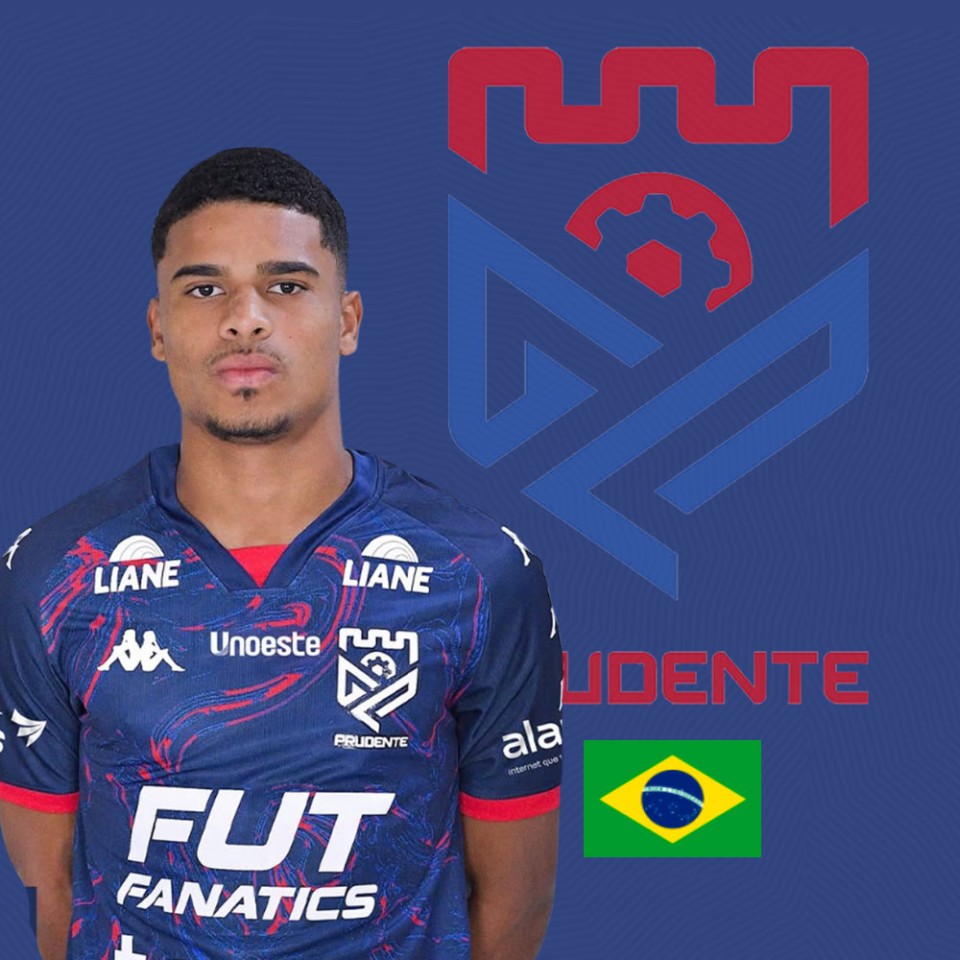 Pedro Henrique da Silva Alves