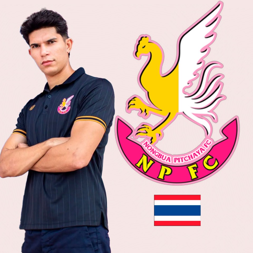 Matheus Gabriel Guedes Caetano