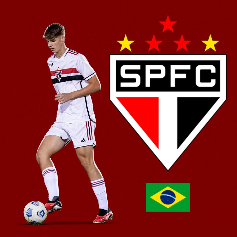 Henrique Floriani Bell